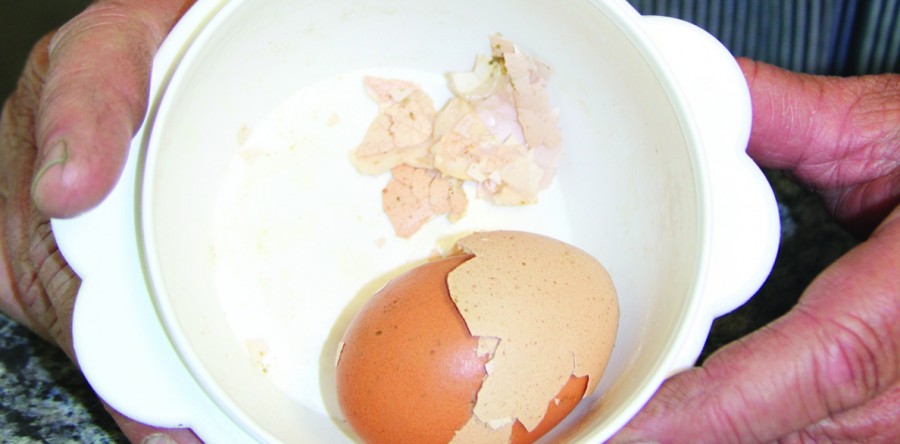 Suiter finds double-shelled egg
