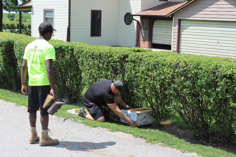 All in a day’s work for local beekeepers