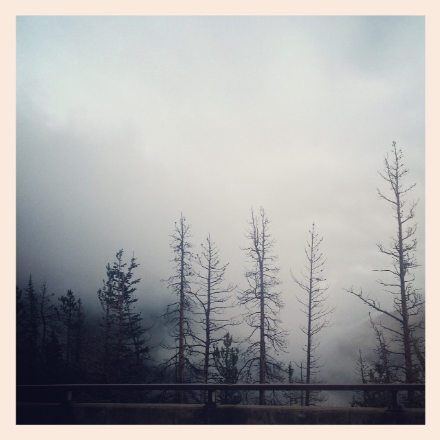 The Wooden Spoon by Shelly Rankin – 8/7/14