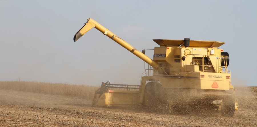 Harvest in the Heartland