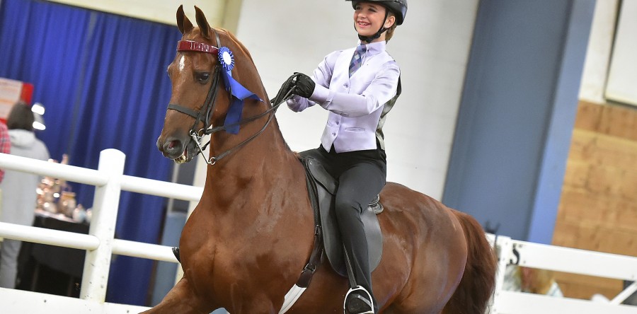 Equestrian Excellence: Maren Egging honored at Iowa Horse Show Association