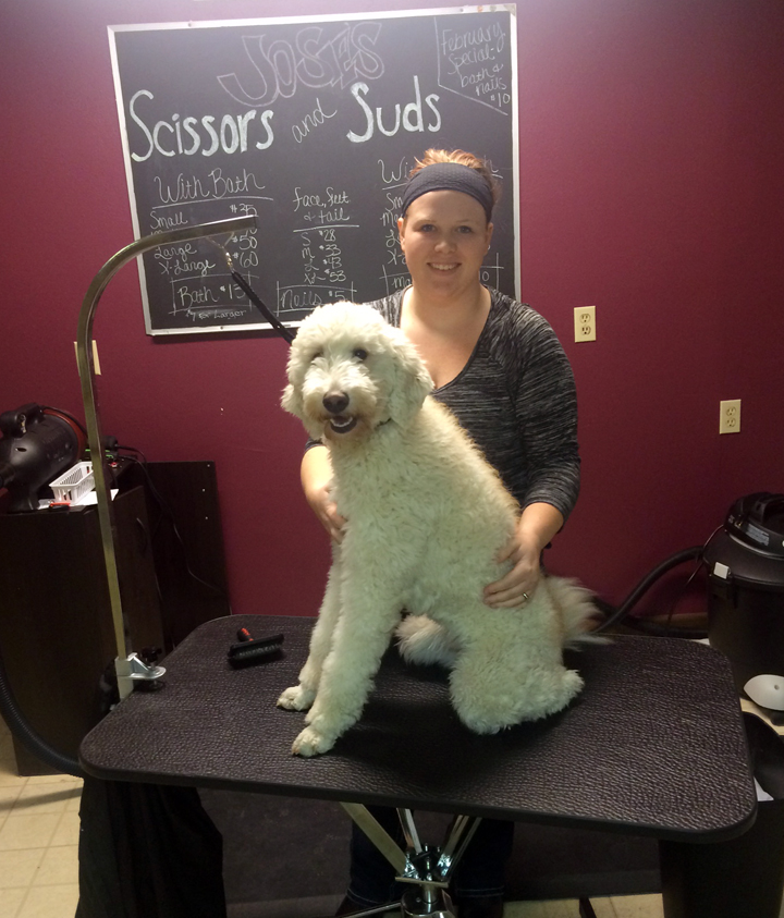 Josie’s Scissors and Suds opens doors for canine customers