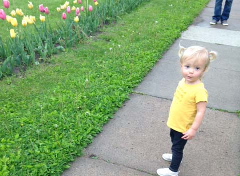 The Wooden Spoon by Shelly Rankin – 5/14/15