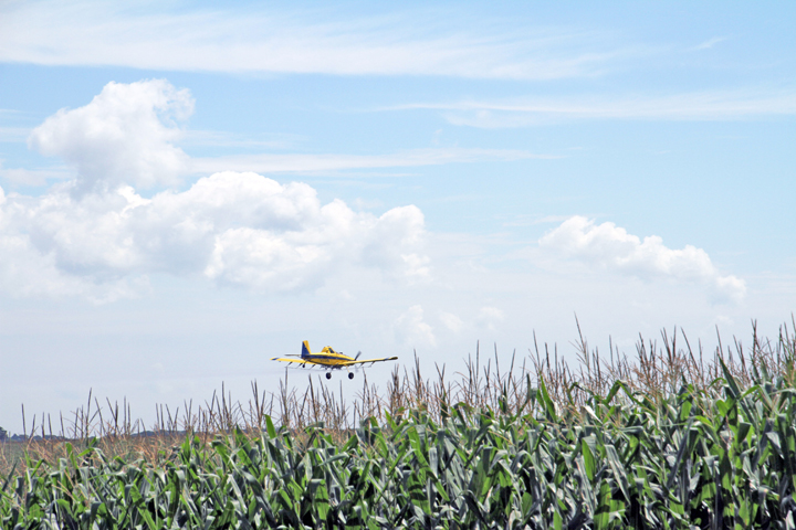 Hot, humid temps promote crop development