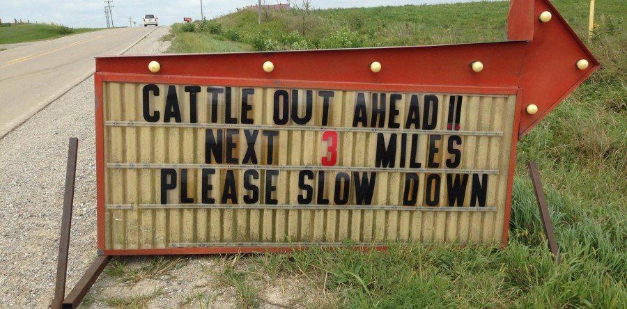 Be careful, cattle out north of Sully