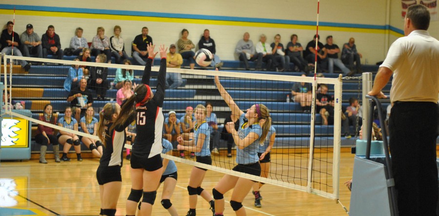 L-S netters take C-M, HLV to five sets, win both