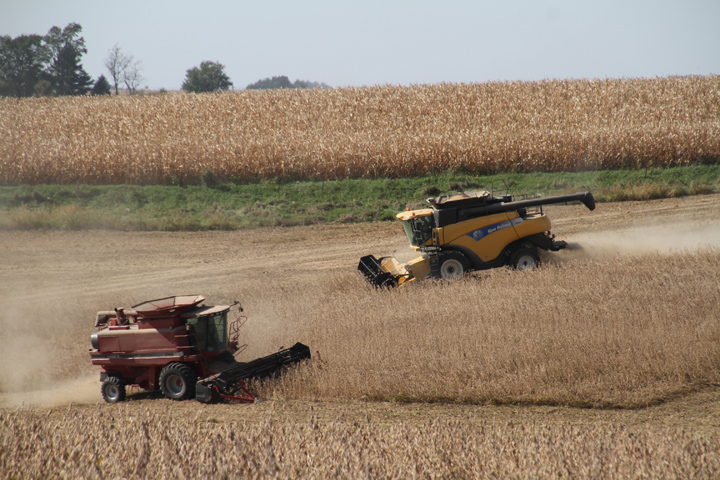 Harvest Highs and Lows