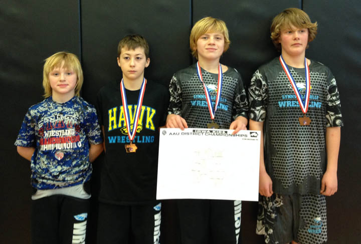 Four Little Hawks qualify for state