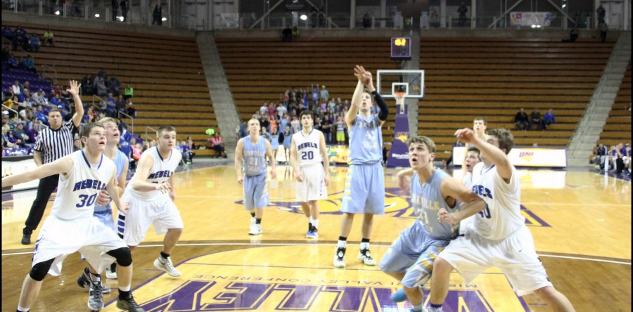 Season ends one game short of state for L-S