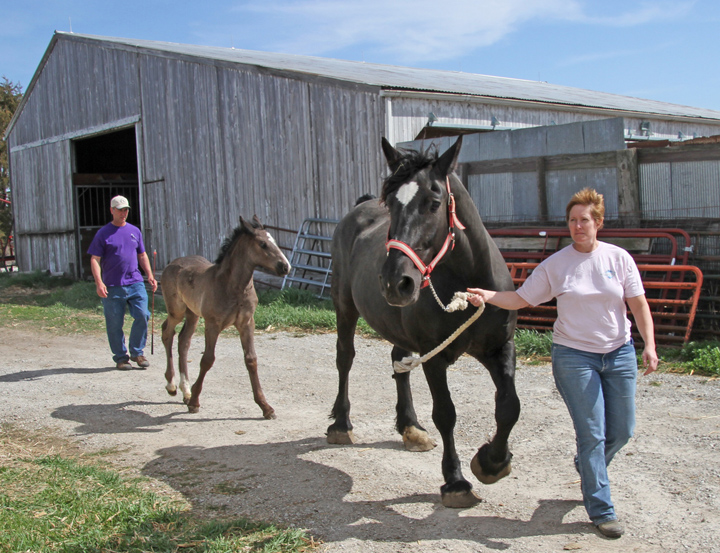 SIERA visits MarKar Farms Saturday