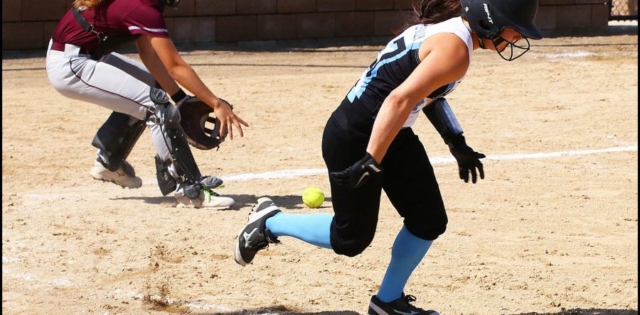 Hawk SB closes regular season, heads into regionals
