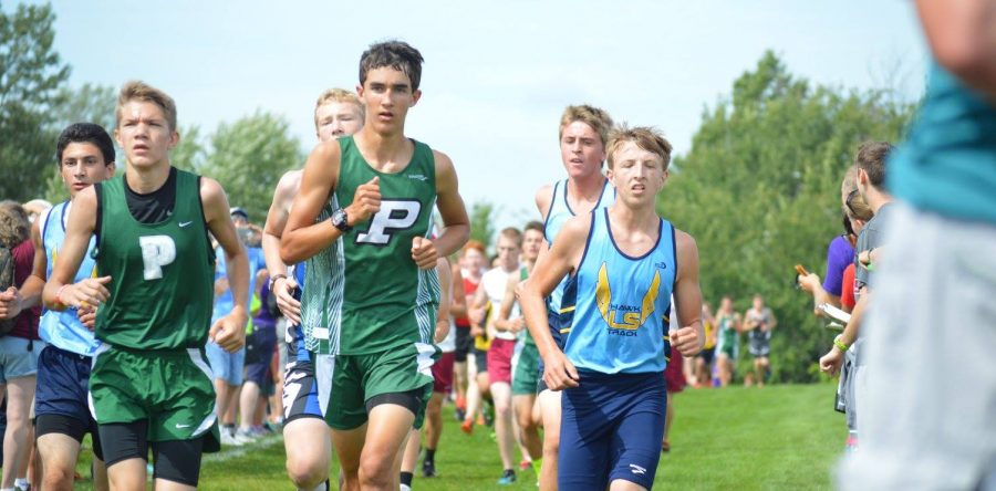 XC teams debut at W’burg, then run at Pella