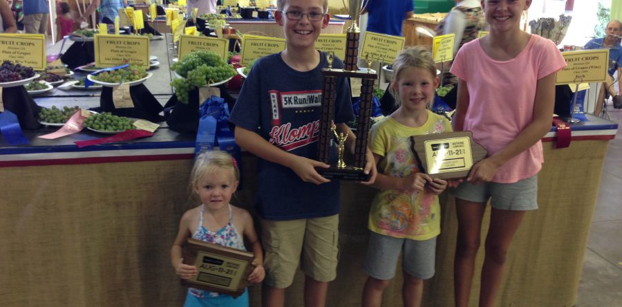 Family hobby farm yields grapes, sweet memories