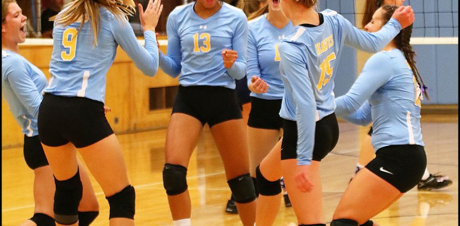 L-S netters go 1-1 in SICL play, take fourth at NM tourney