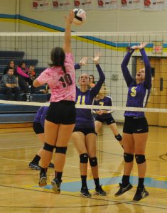 Jelissa Rozendaal goes up for an attack.