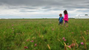 "In the Clover" took first place.