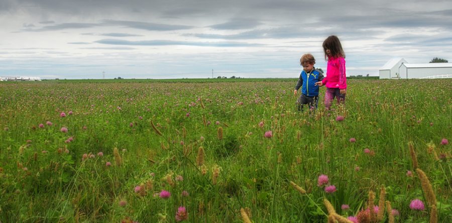 Local hobby photographer captures first place