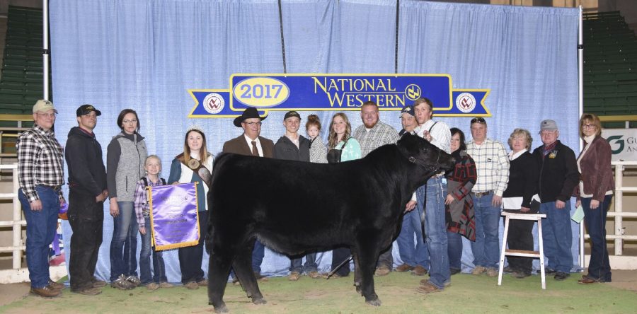 Vander Molen family, Van Wyk do well at National Western Stock Show