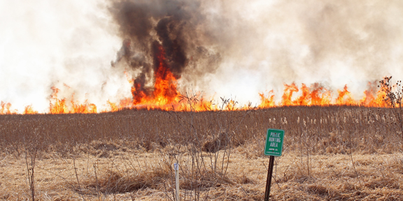Warm weather sparks fire danger warnings, burn bans