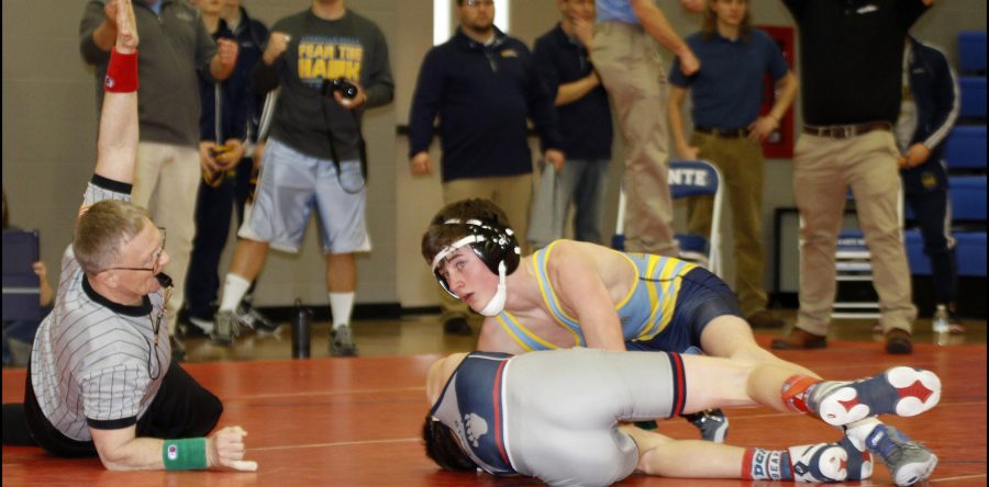 Second-place Hawks to send seven to district meet