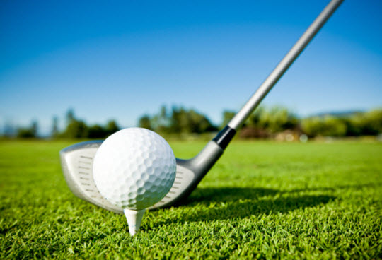 Ten letterwinners return for L-S golf season