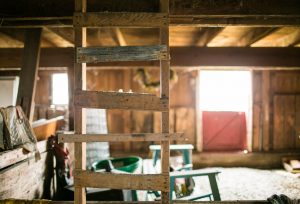 Veurink recently traveled back to her grandma’s farm and captured this photo of the stairway to the loft that beckoned her and her cousins to come up and dream.