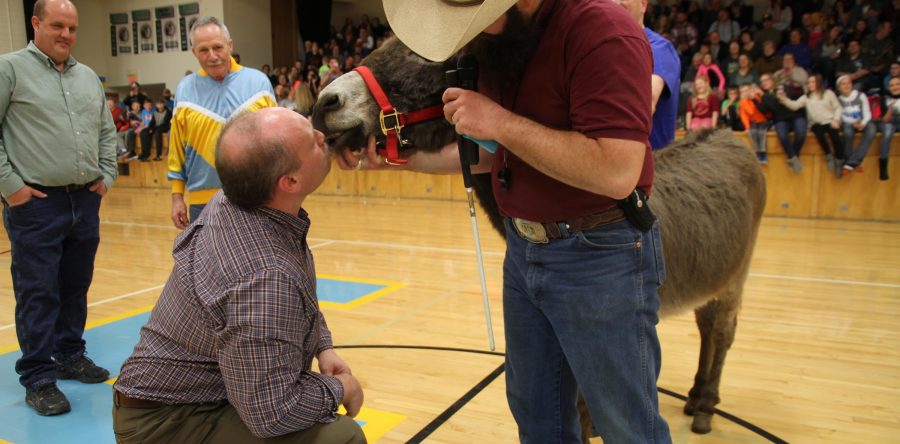 Donkey basketball entertains, raises over $2,300 for local libraries