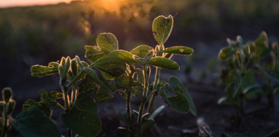 Record dry June in Central Iowa