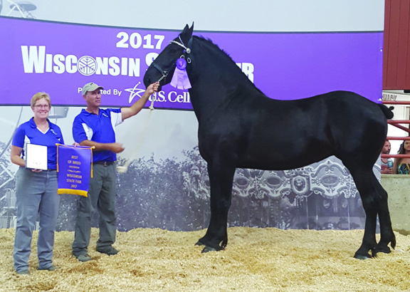 Mar Kar Farms takes home the gold in Wisconsin