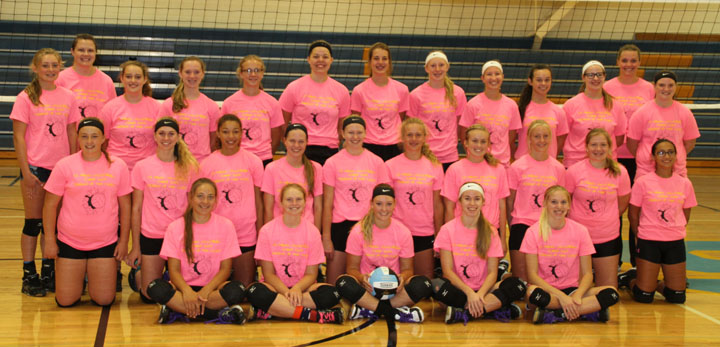 Volleyball Preview: Hawks hope plenty of off-season work pays off