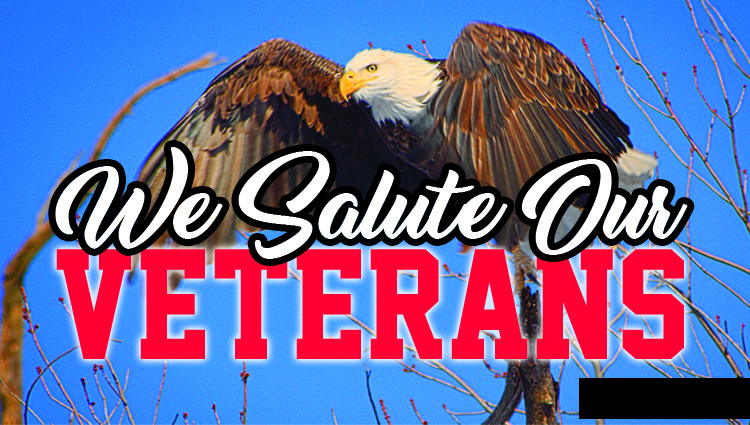 We Salute Our Veterans