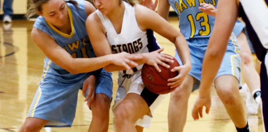 Hawks suffer two SICL losses, rebound at EM