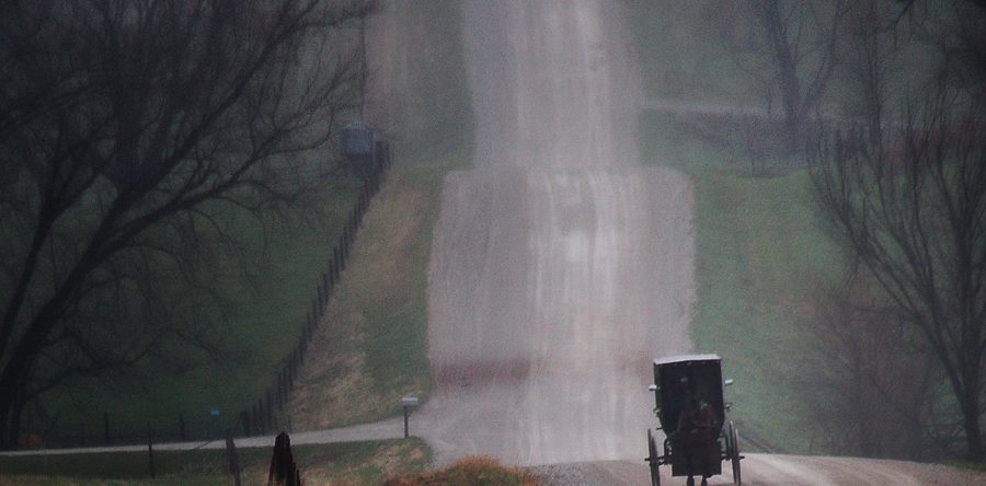 Terpstra’s photo wins honorable mention in photo contest