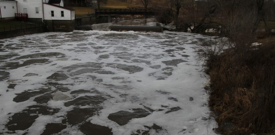 Mother Nature delivers warm temperatures, January rain