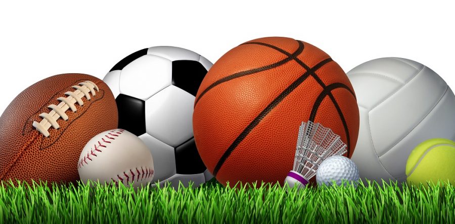 Suspension lifts Saturday for L-S High School sports teams