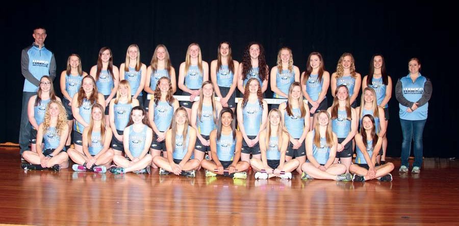 Hawks Make a STATEment – A Salute to L-S Spring Sports