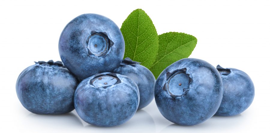 Farm to Table: July-the month of county fairs and blueberries