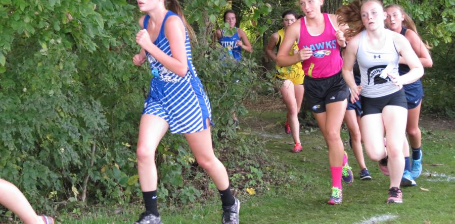 Wet, wild weather sends L-S XC on chase  