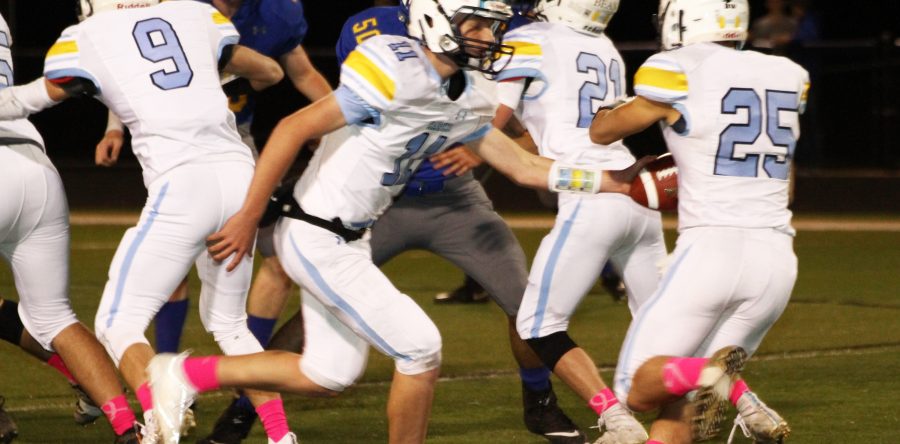 Hawks are district champs, playoffs bound