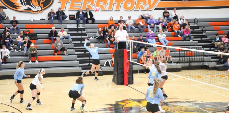 Hawk volleyball struggles in Tiger territory