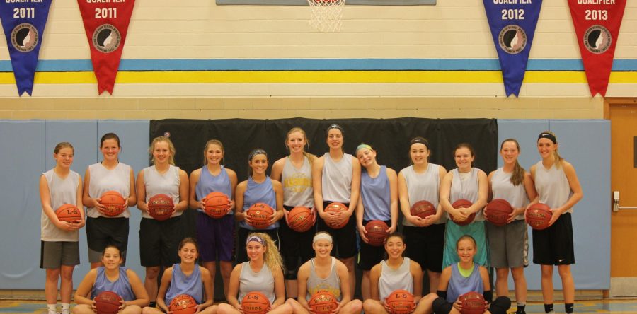 Season preview: Three seniors will provide strong leadership for the Hawks
