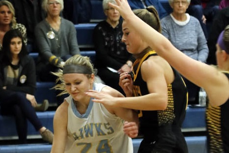 Hawks defeat Sigourney in conference play