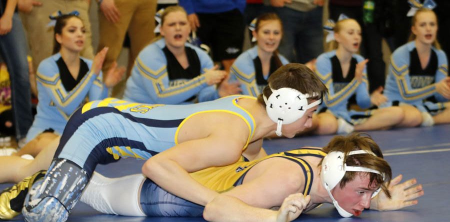 Four Hawk grapplers finish season at districts