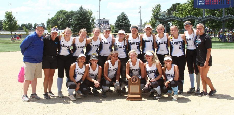 L-S Hawks wrap up season at state with thrilling win