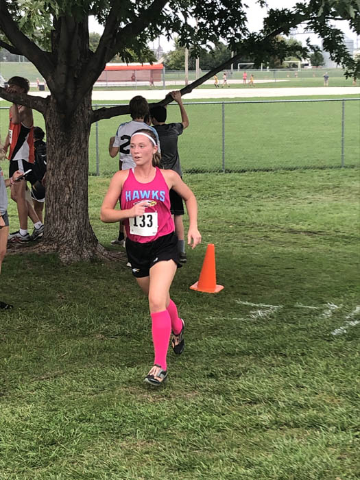 Smock medals at two meets, Hawks prep for SICL meet