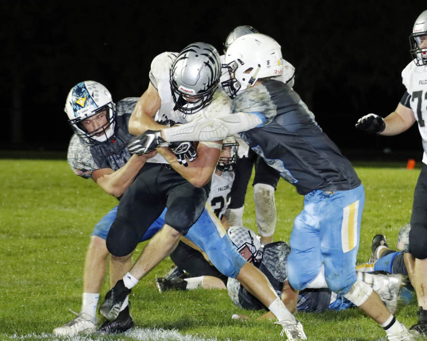 Hawks ‘played their hearts out’ in homecoming loss