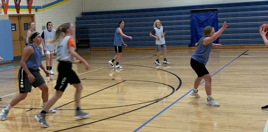 L-S girls BB preview: Hawks prepping for first competitions next week