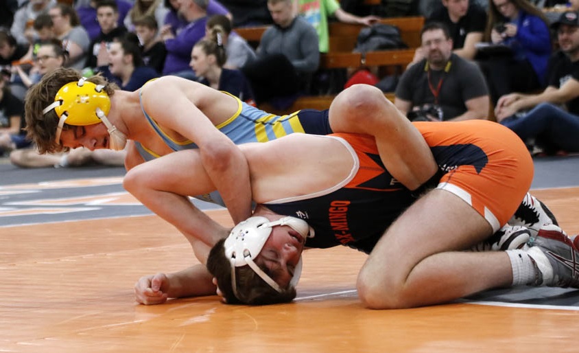 Dunsbergen earns third in District 4, denied trip to state