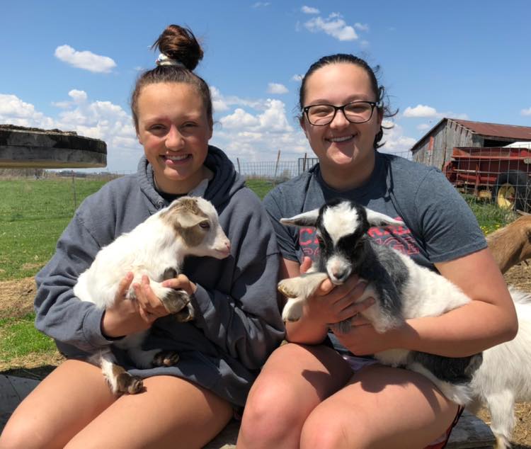 New life on the farm: Quarantine downtime provides the ­James family extra time to love on their four-legged friends