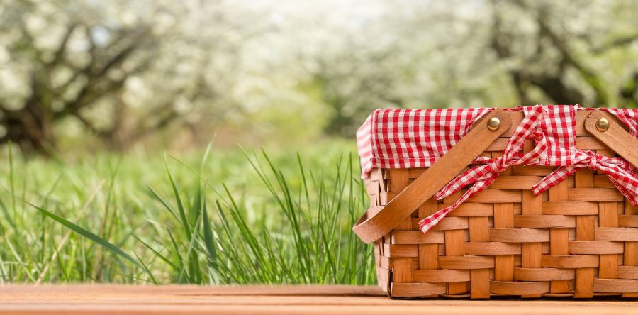 Picnic Time 2020- By Deb Johnson
